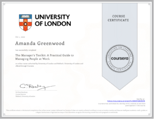 The Managers Toolkit A Practical Guide to Managing People at Work